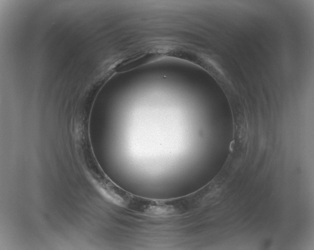 X0000081390455200701182236