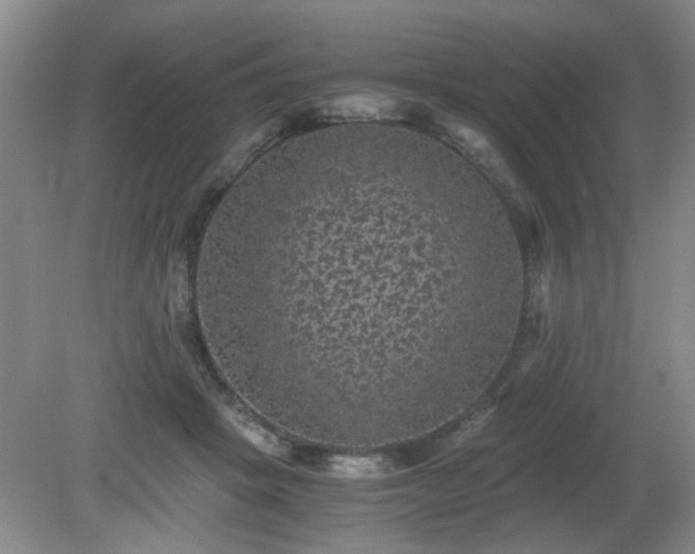 X0000081390457200701182236