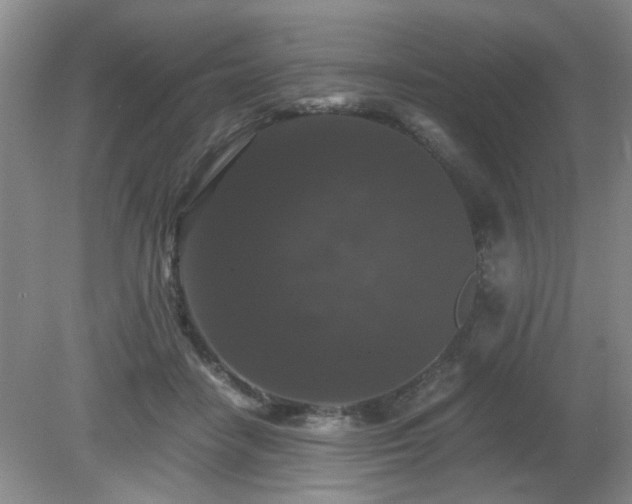 X0000081390458200701182236