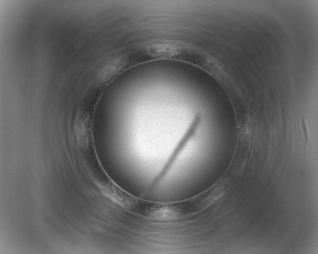 X0000081390460200701182236