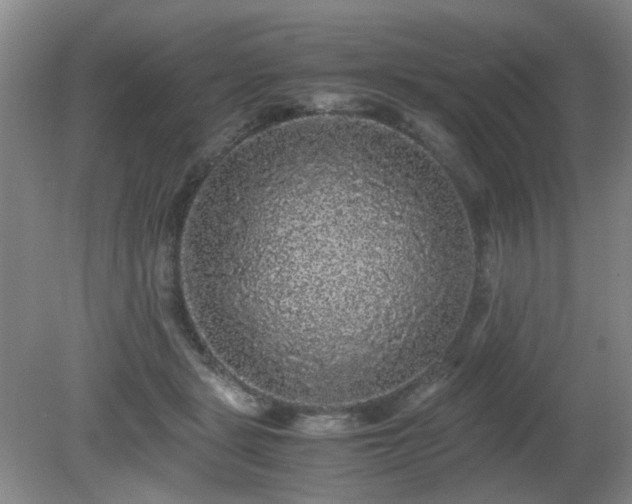 X0000081390461200701182236