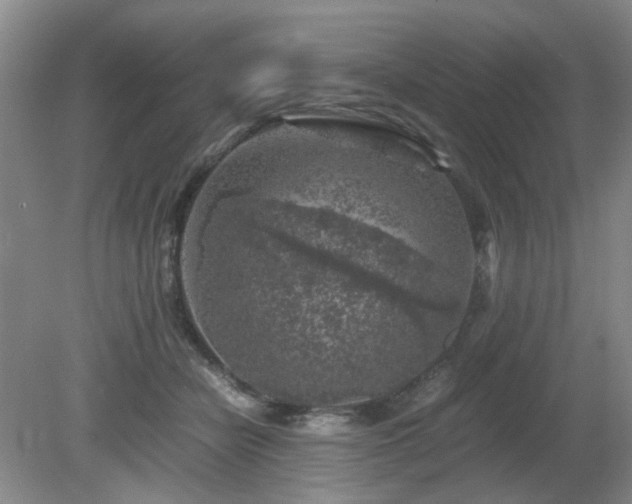 X0000081390462200701182236