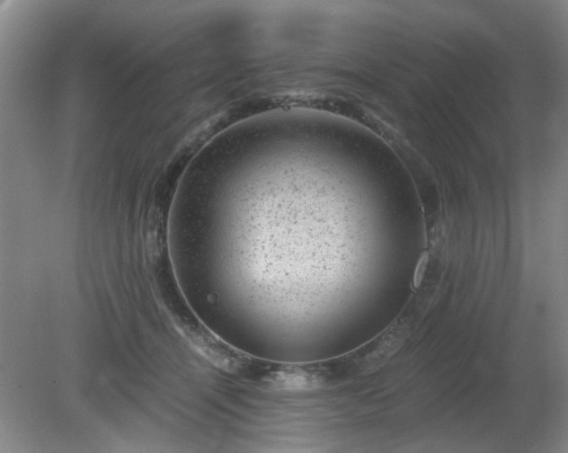 X0000081390464200701182237