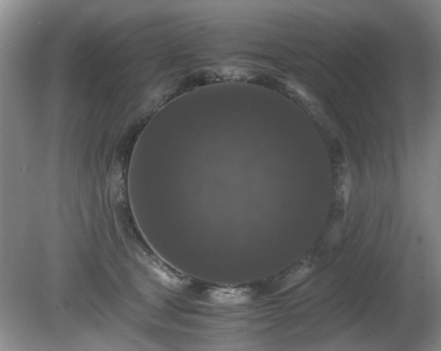 X0000081390465200701182237