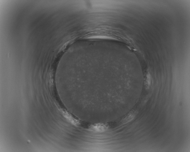 X0000081390466200701182237