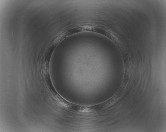 X0000081390467200701182237