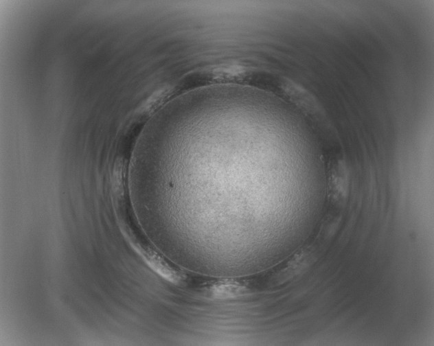 X0000081390468200701182237