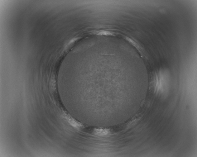 X0000081390469200701182237