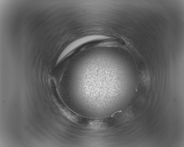 X0000081390470200701182237