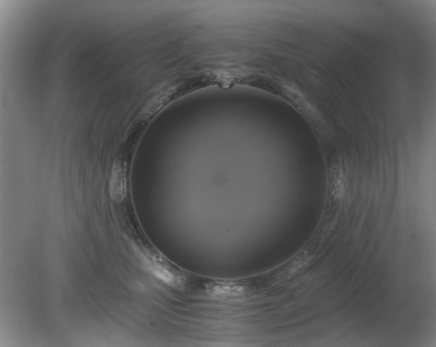 X0000081390471200701182237