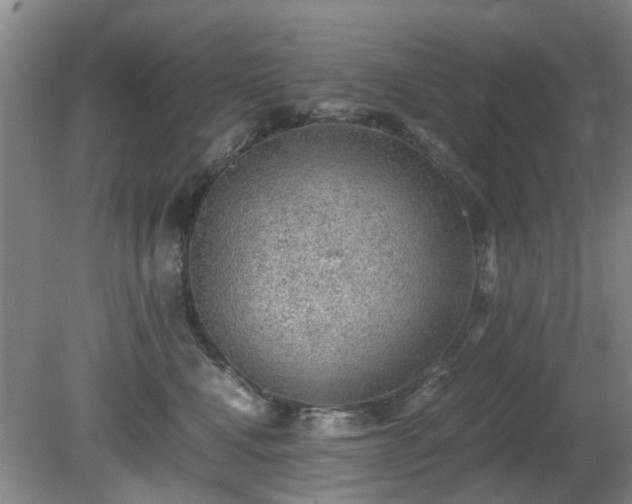 X0000081390472200701182237