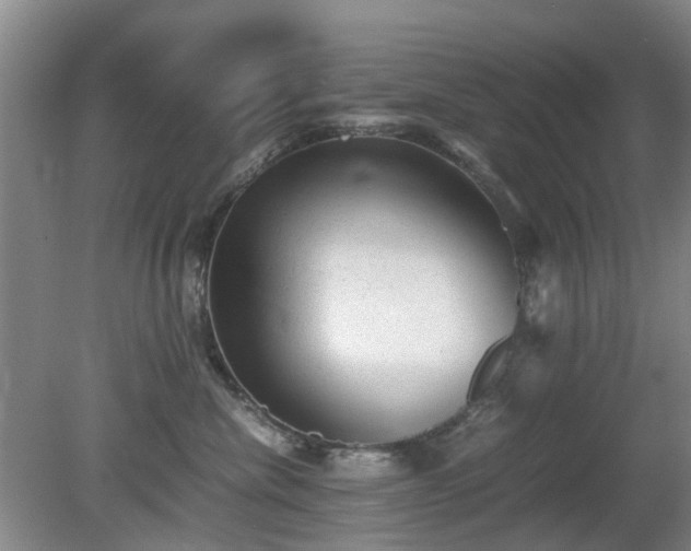 X0000081390476200701182237