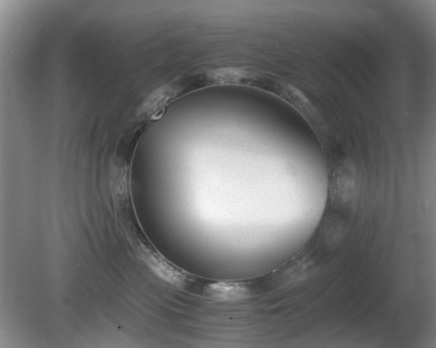 X0000081390477200701182237