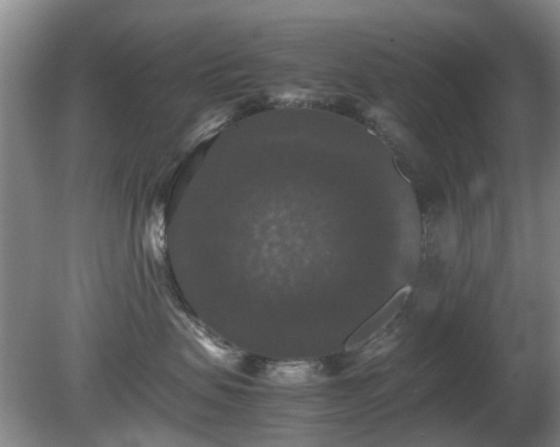 X0000081390479200701182237