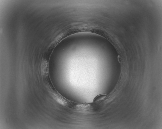 X0000081390480200701182237