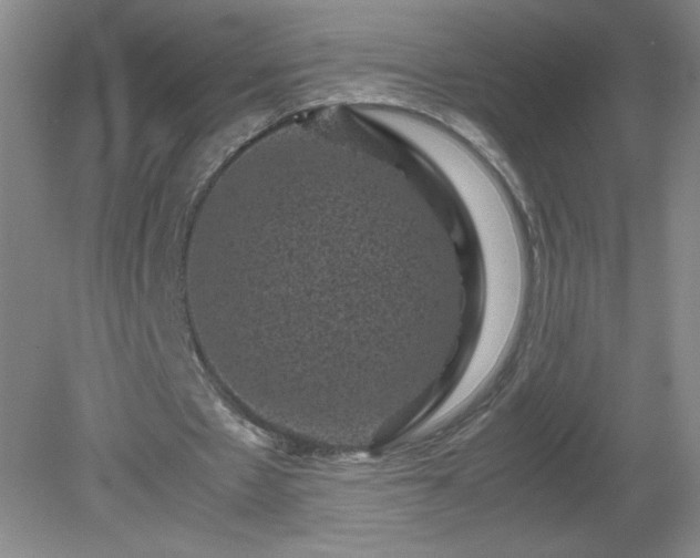 X0000081390481200701182236