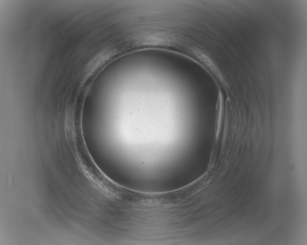 X0000081390482200701182236