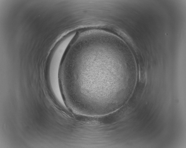 X0000081390483200701182236