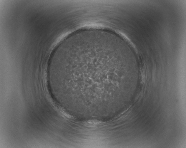 X0000081390487200701182236