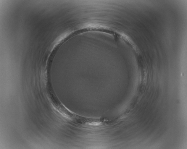 X0000081390488200701182236