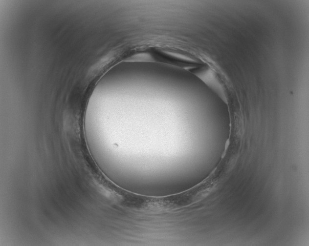 X0000081390489200701182236