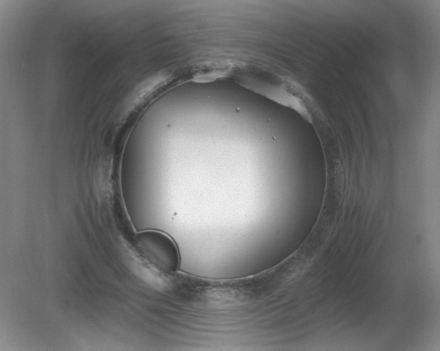 X0000081390490200701182236