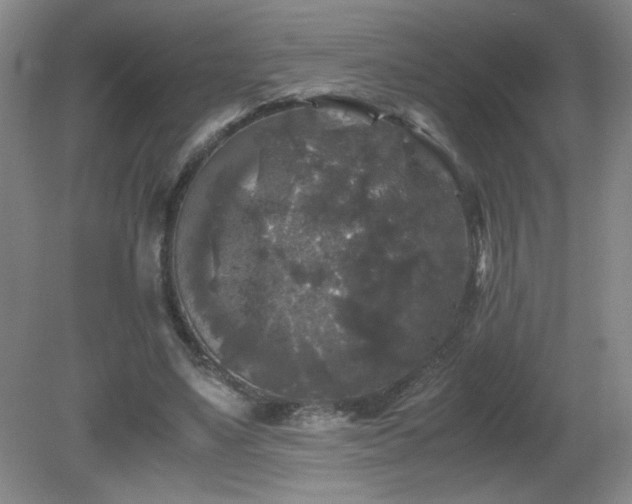 X0000081390491200701182236