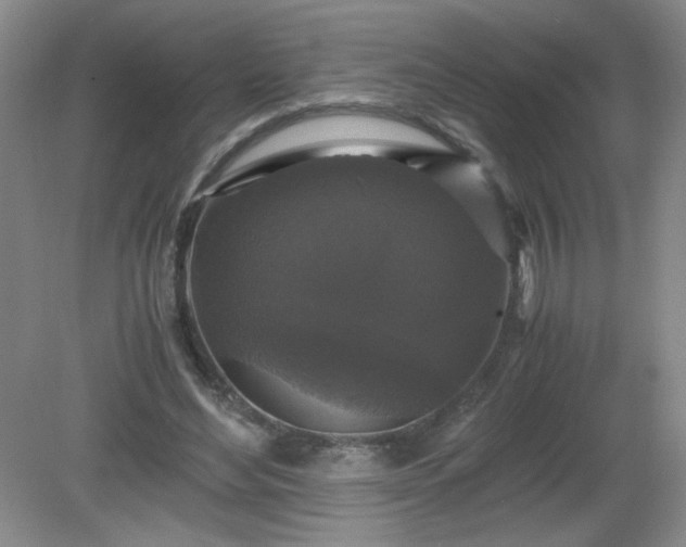 X0000081390492200701182236