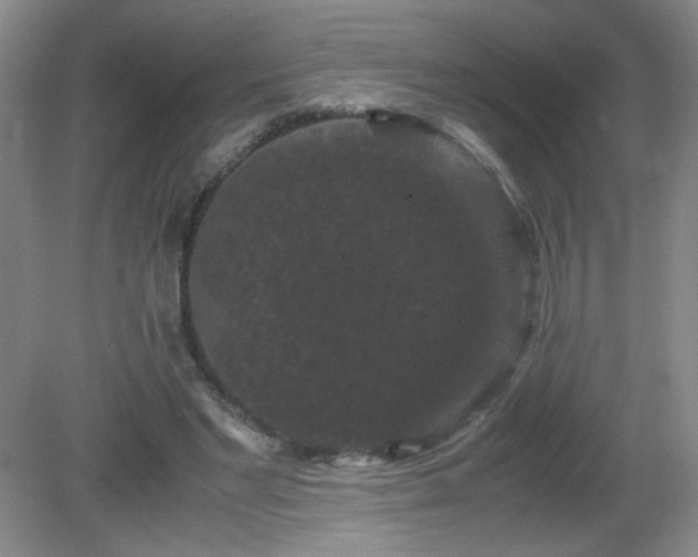 X0000081390493200701182236