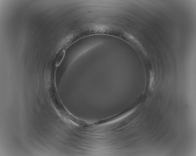 X0000081390496200701182236