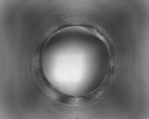 X0000081390497200701182236