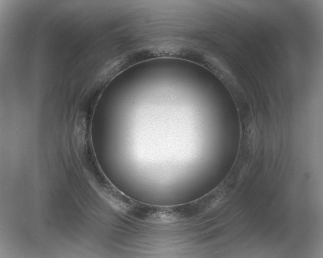 X0000081390498200701182236