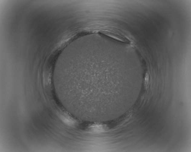 X0000081390499200701182236