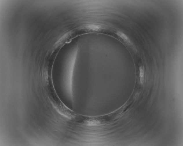 X0000081390500200701182236