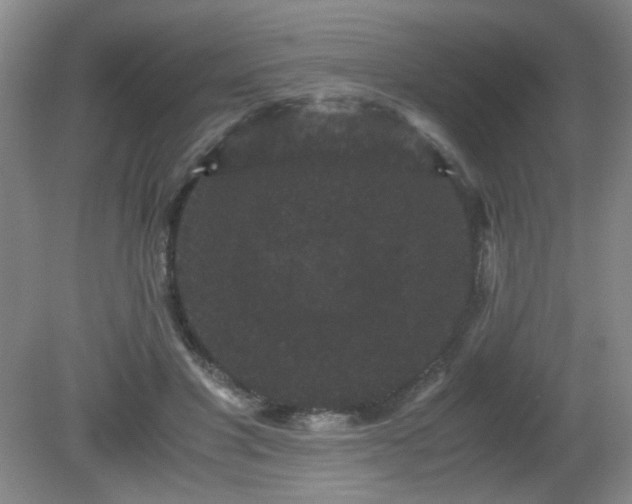 X0000081390501200701182236