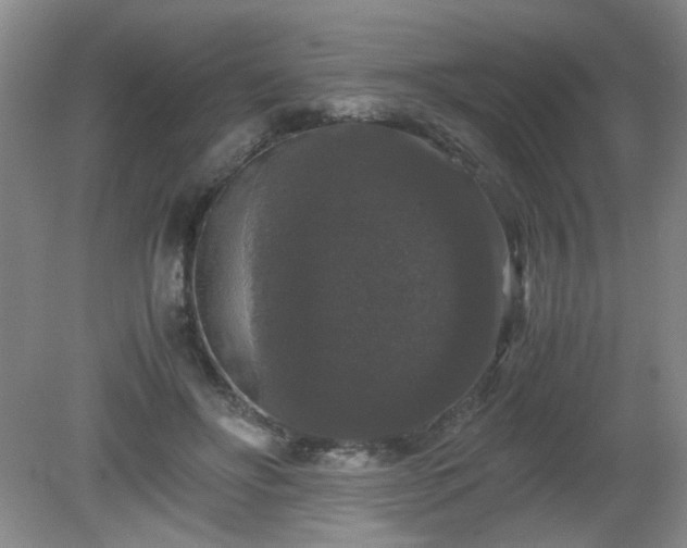 X0000081390502200701182236