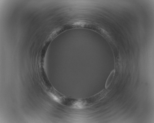 X0000081390504200701182236