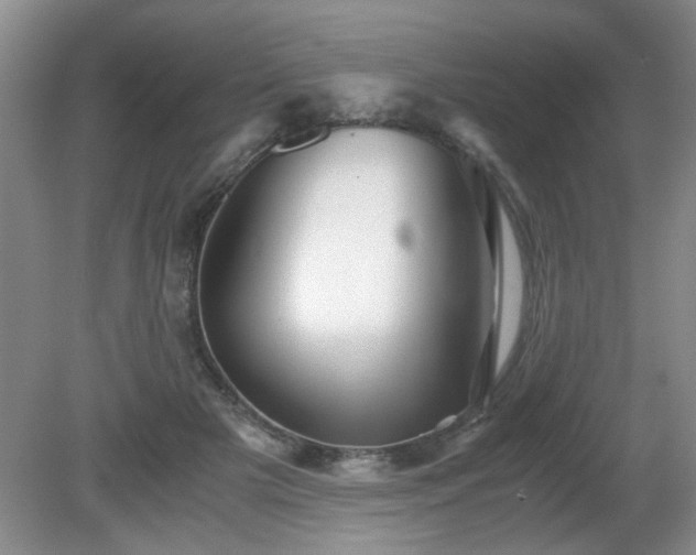 X0000081390505200701182236