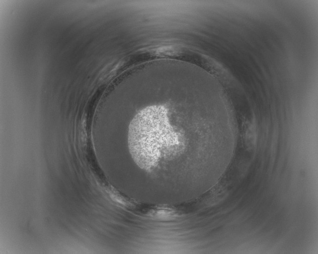 X0000081390506200701182236