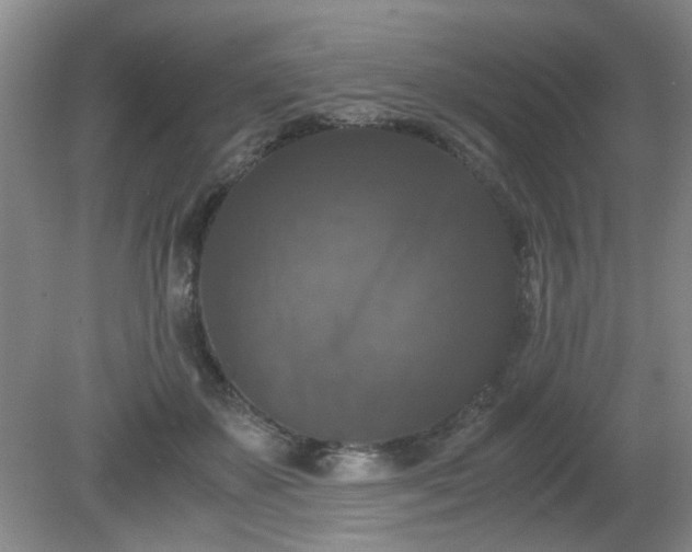 X0000081390507200701182236