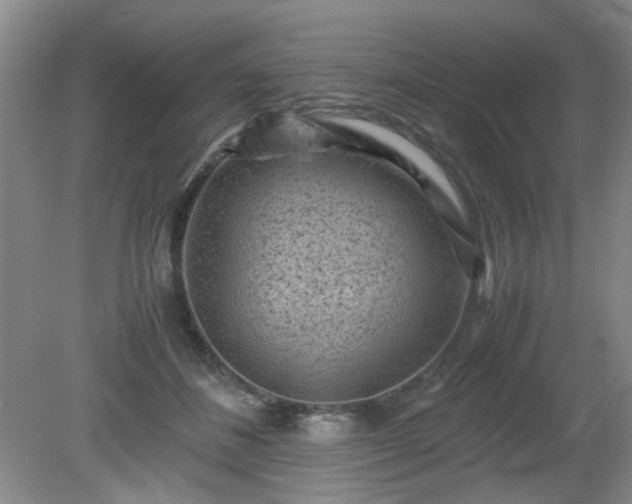 X0000081390508200701182236