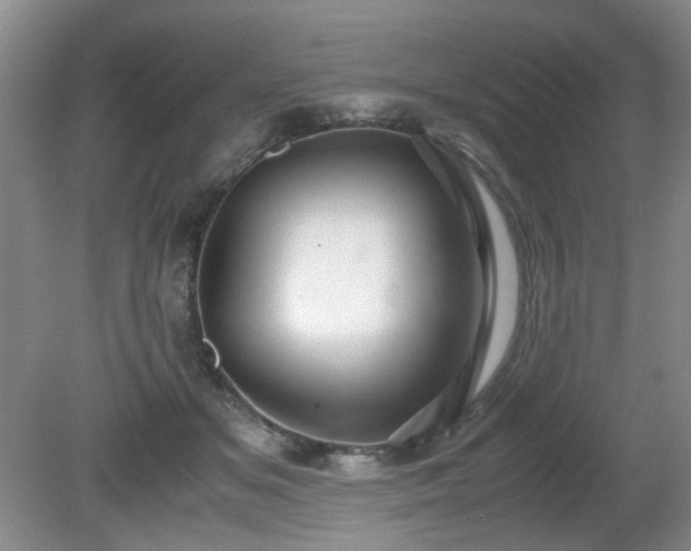 X0000081390509200701182235