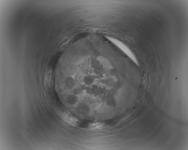 X0000081390511200701182235