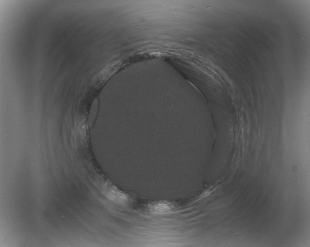 X0000081390513200701182235