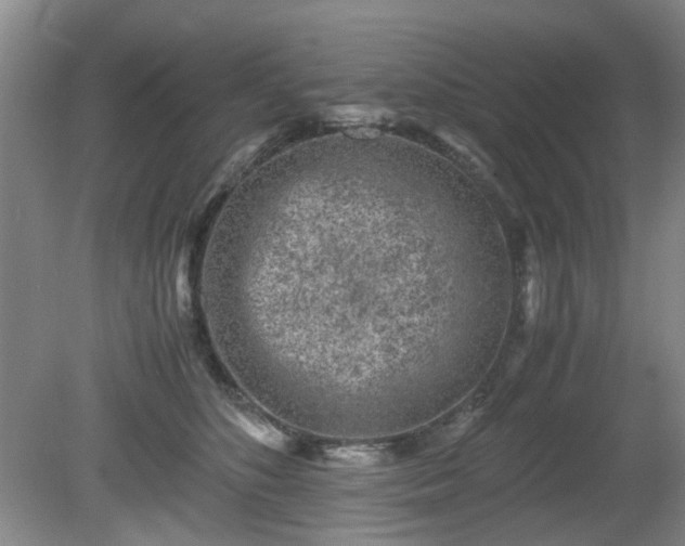 X0000081390516200701182235