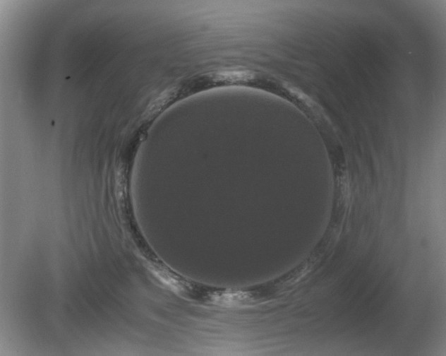 X0000081390517200701182235