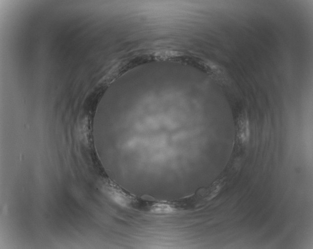 X0000081390519200701182235