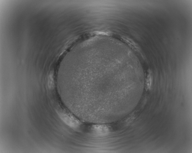 X0000081390520200701182235