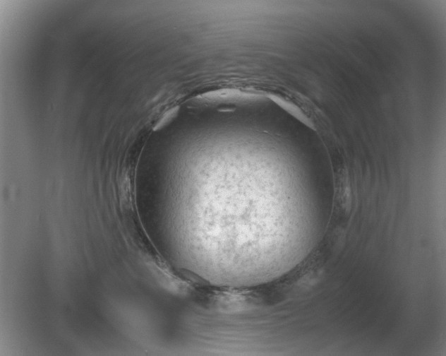 X0000081390523200701182235