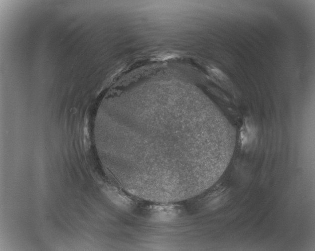 X0000081390524200701182235